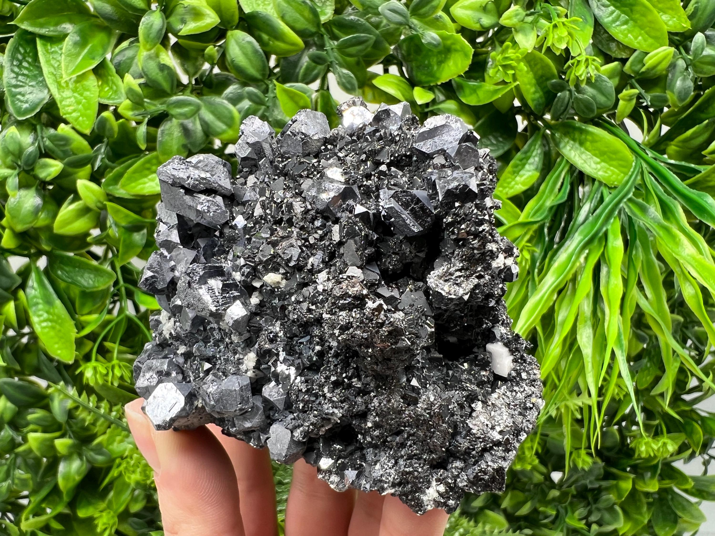 Galena Spinel Law on Sphalerite, Madan Bulgaria Mineral Specimen