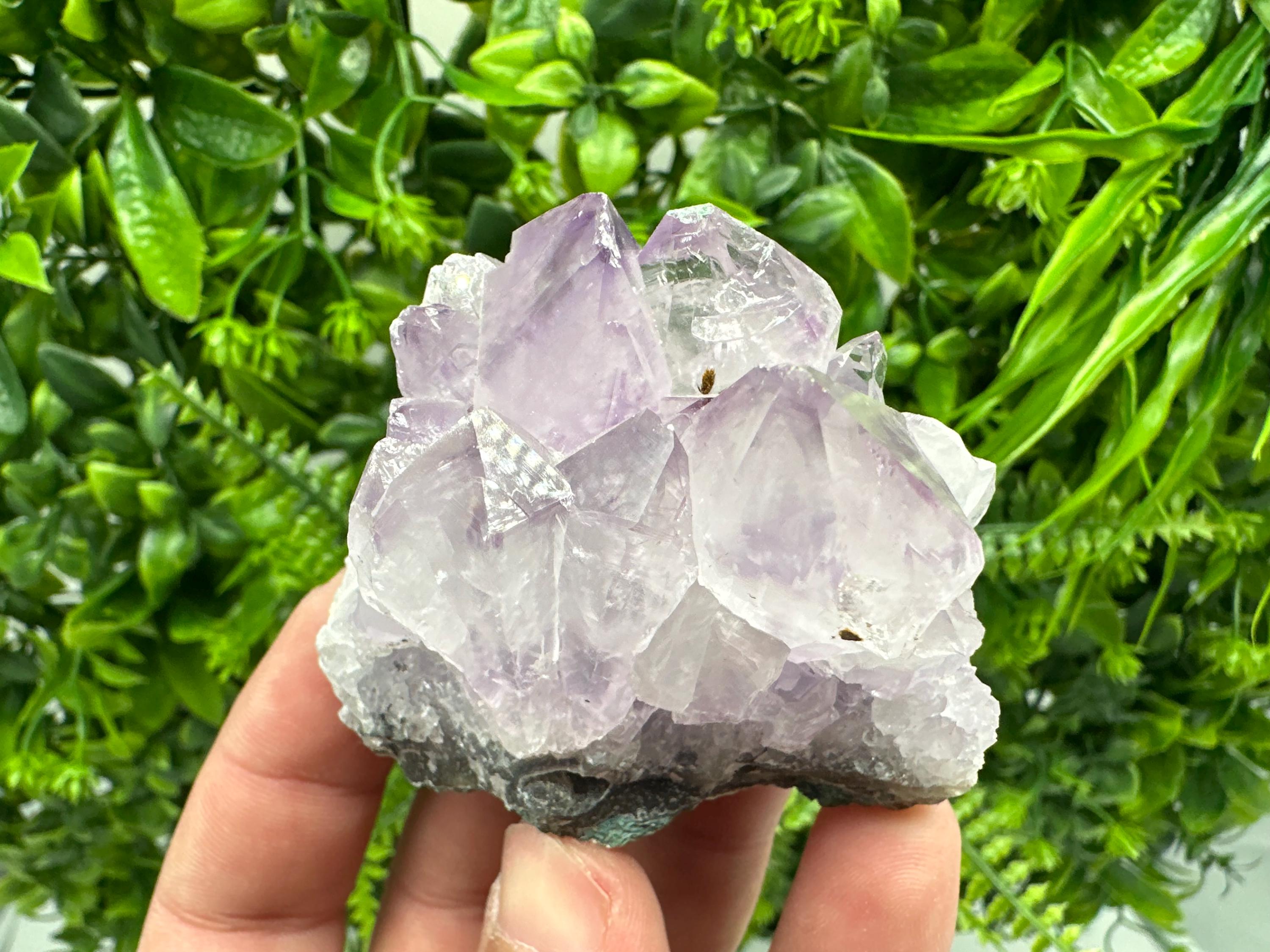 Brazilian Amethyst Crystal Cluster, Purple Quartz Specimen