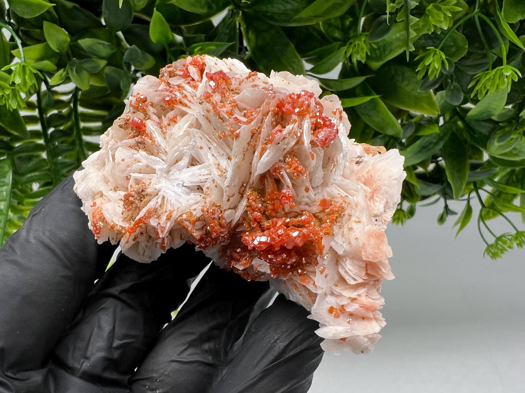 Red Vanadinite on Barite from Marocco,crystal minerals Speciment cluster Vanadinite crystal Vanadinite Geology Vanadinite cluster minerals