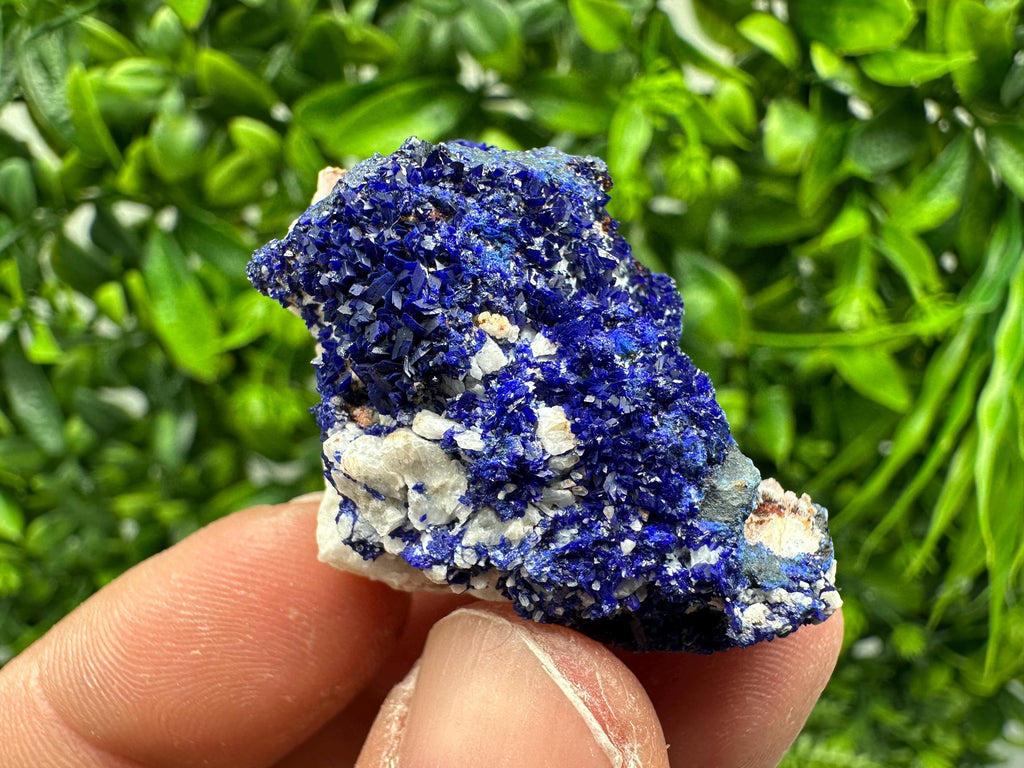 Crystallized Azurite-Kerrouchen,Morocco-Blue Azurite Specimen-High Quality Blue Azurite-Azurite Mineral Specimen, gemmy,lustrous of Azurite