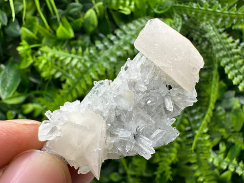 Calcite on Quartz Crystal: Borieva Mine, Bulgaria