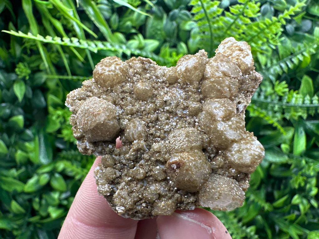 Brown Rhodochrosite on Calcite, Djurcovo Bulgaria, Mineral Specimen