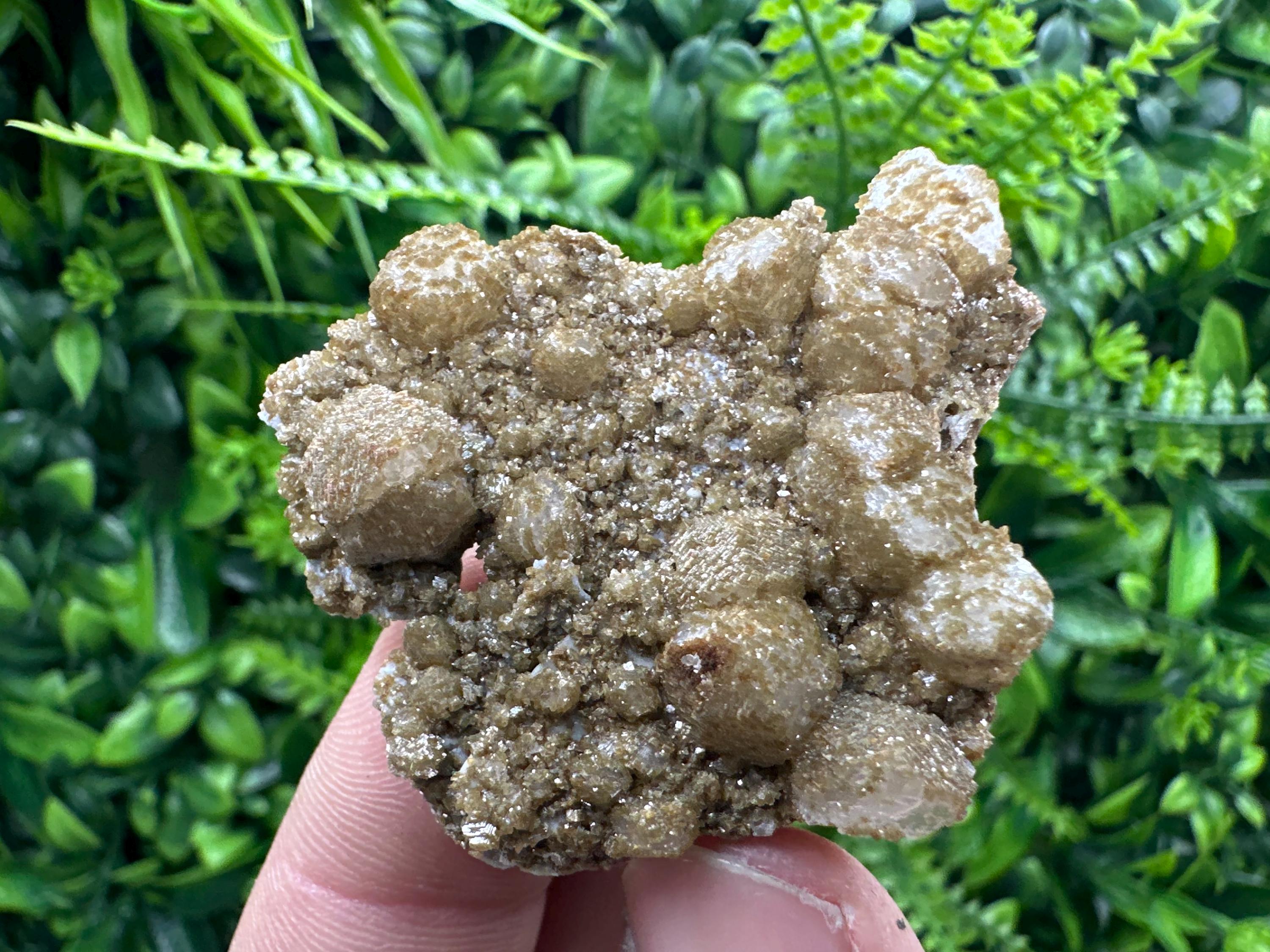Brown Rhodochrosite on Calcite, Djurcovo Bulgaria, Mineral Specimen