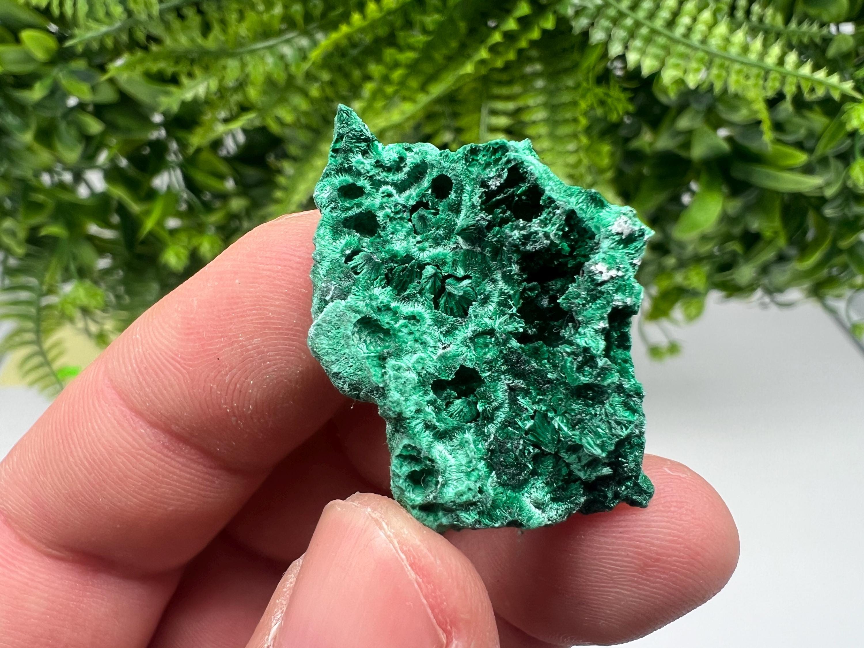 Malachite Crystal from Congo,Minerals,Crystals from Congo,Green Malachite, Malachite,Natural Malachite,Malachite Stone,Chakra, Specimens