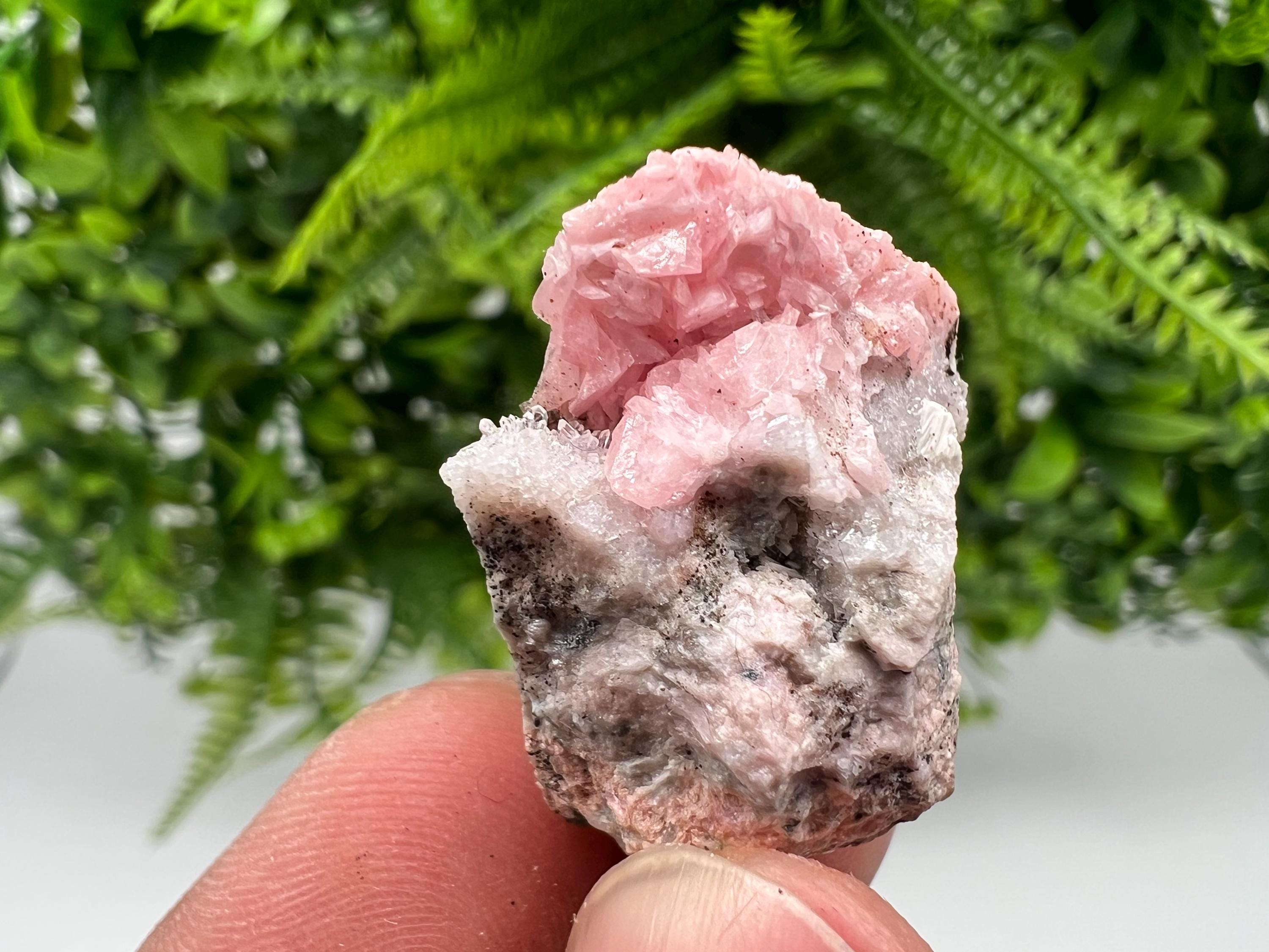 Rhodochrosite on Quartz: Pink Mineral Specimen, Starnica Mine, Bulgaria