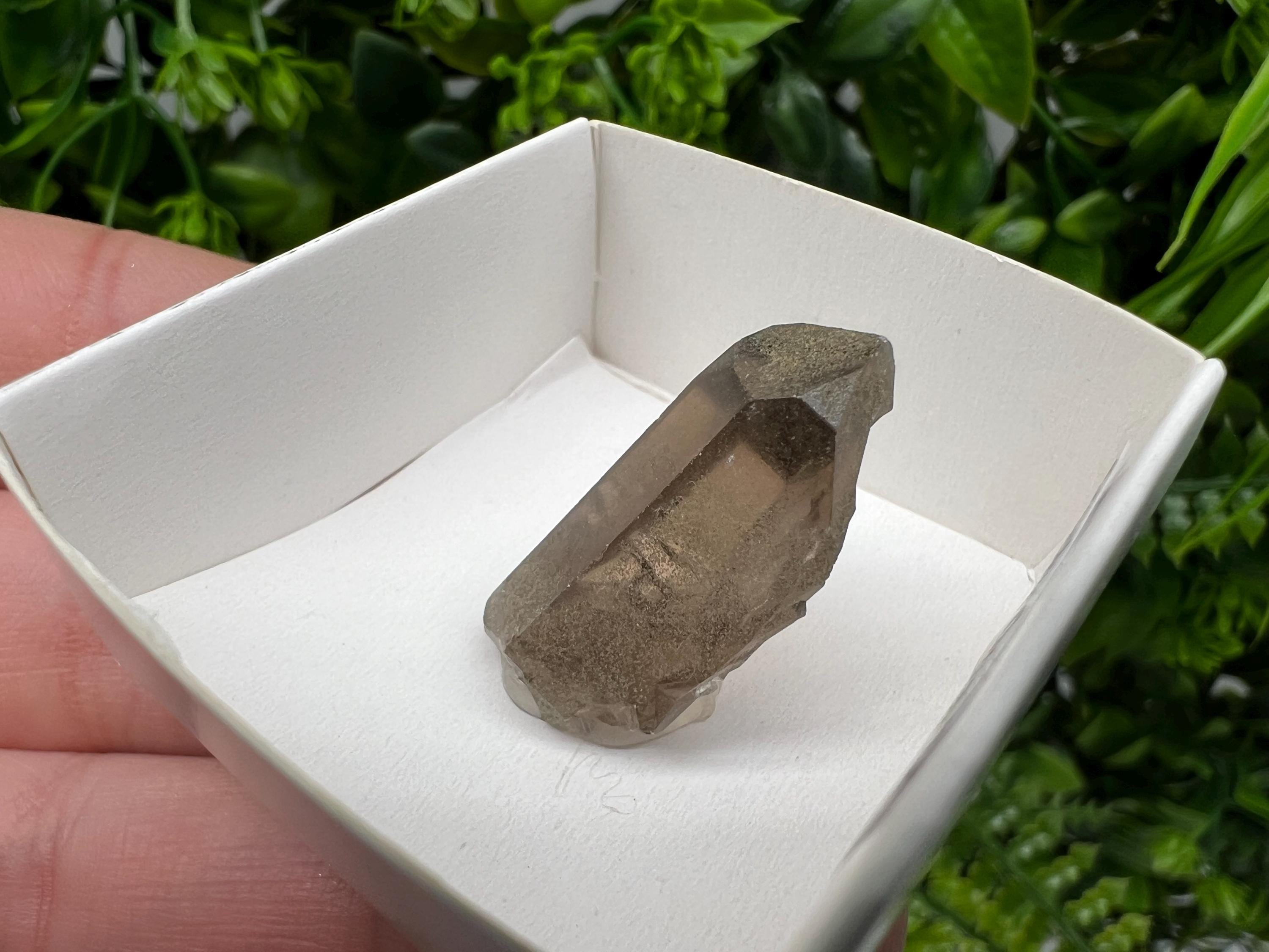 Rare Fedenstock Smoky Quartz Point, Switzerland Mineral Specimen (25MM)