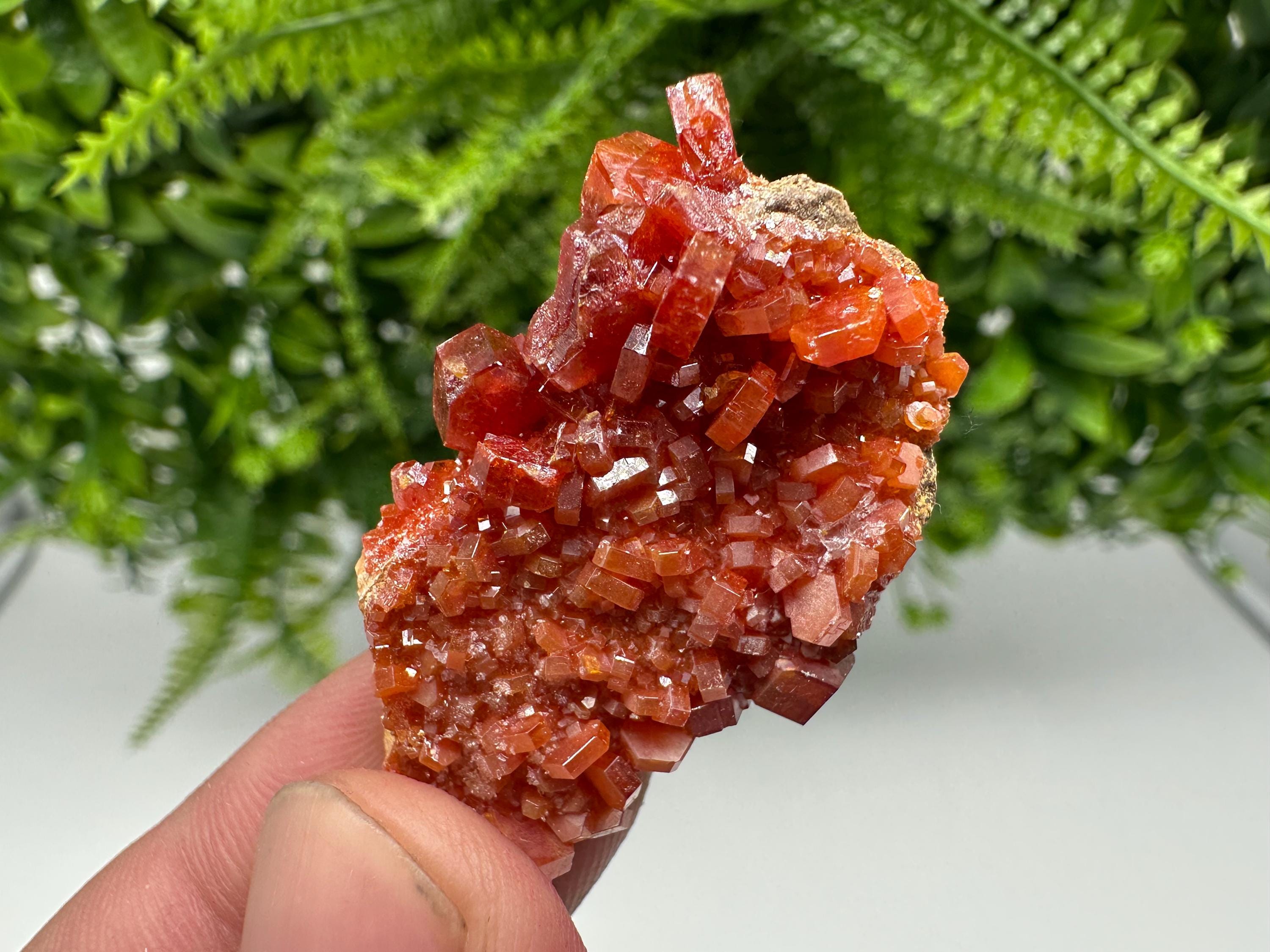 Red Vanadinite on Barite from Marocco,crystal minerals Speciment cluster Vanadinite crystal Vanadinite Geology Vanadinite cluster minerals