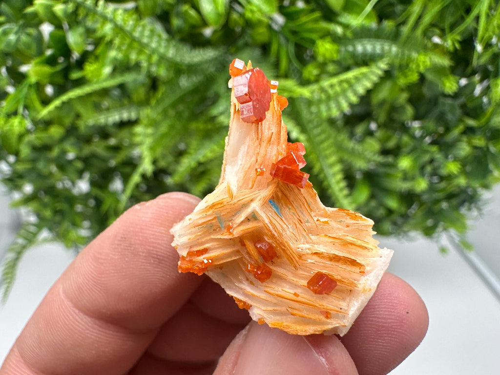 Red Vanadinite on Barite from Marocco,crystal minerals Speciment cluster Vanadinite crystal Vanadinite Geology Vanadinite cluster minerals