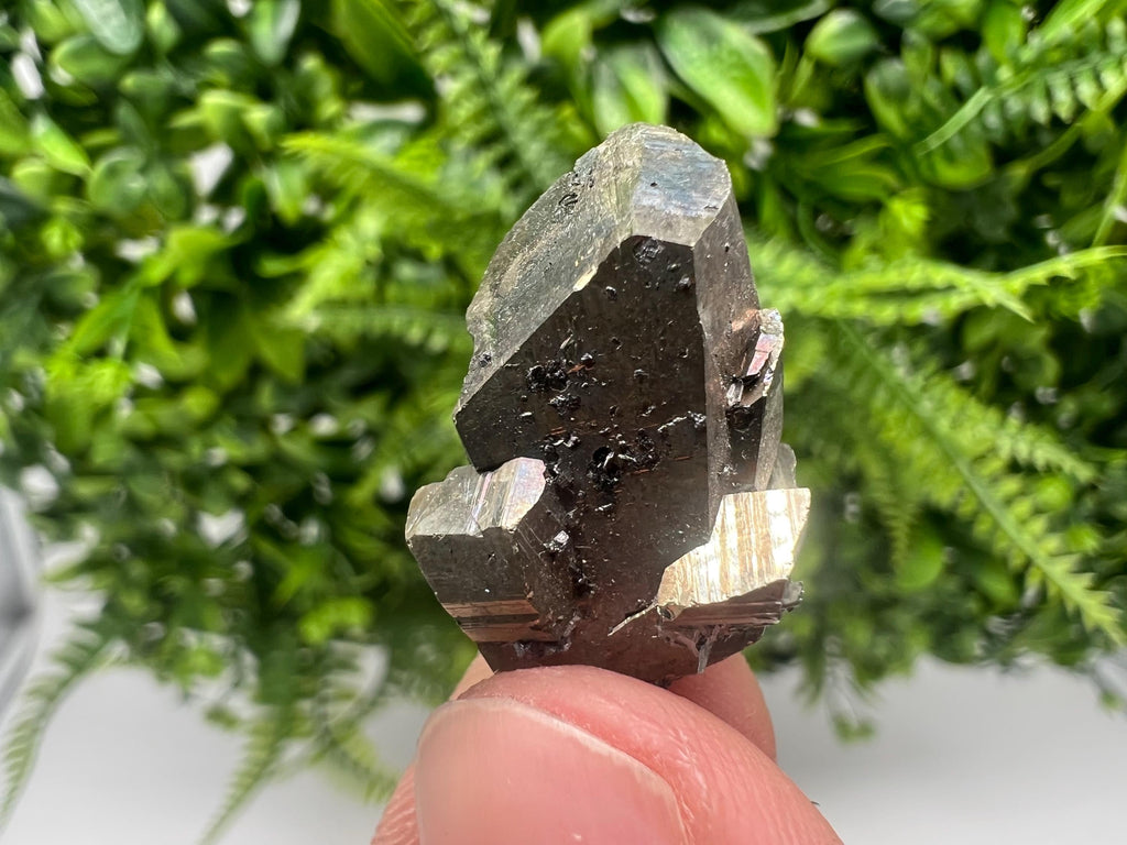 Mini Rainbow Pyrite Cluster: Borieva Mine, Bulgaria