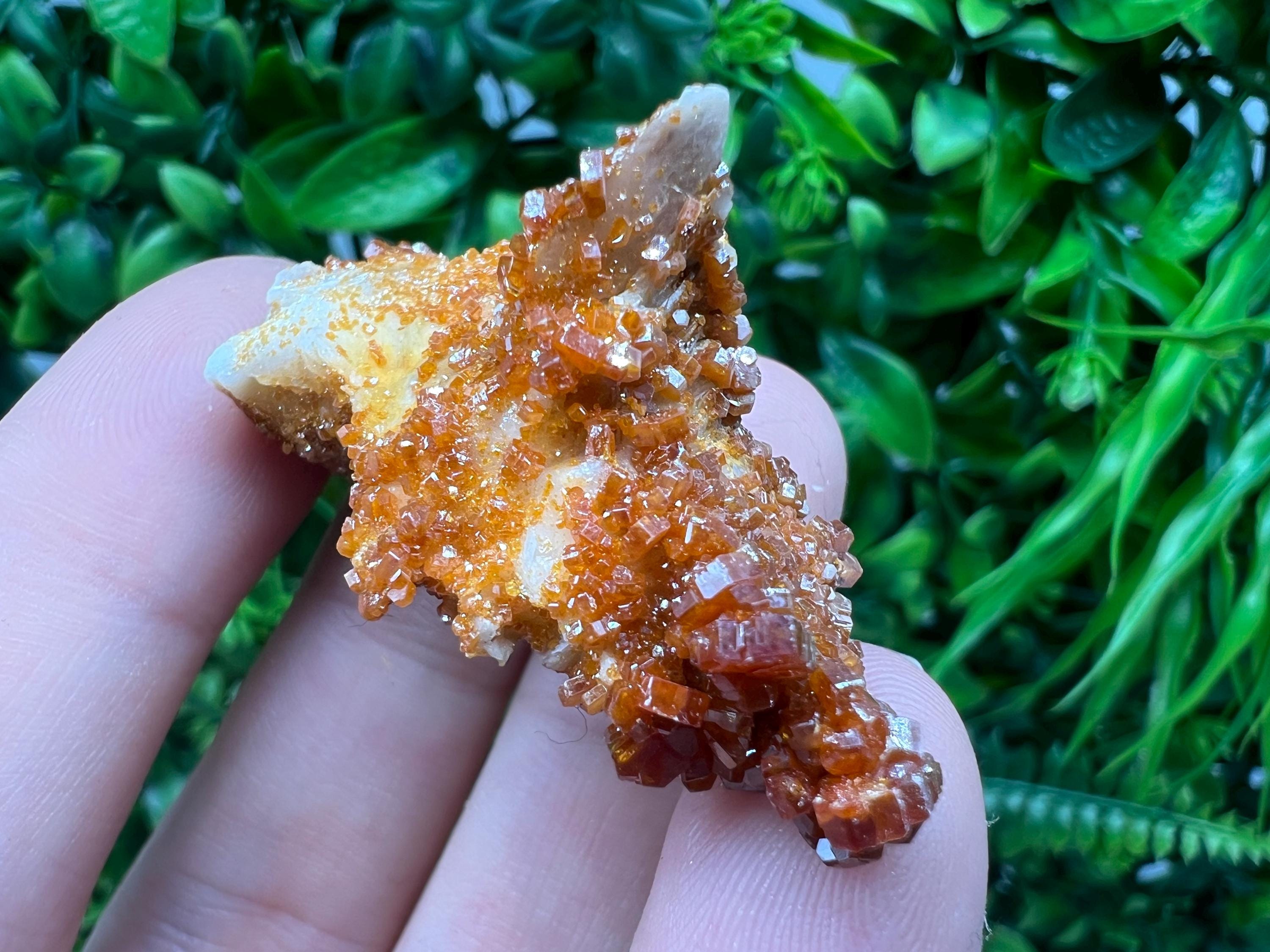 Red Vanadinite on Barite from Marocco,crystal minerals Speciment cluster Vanadinite crystal Vanadinite Geology Vanadinite cluster minerals