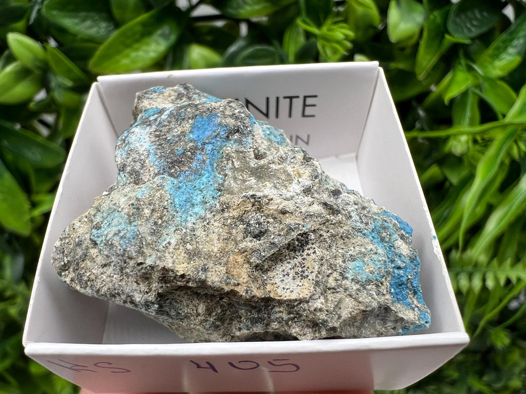 Rare Raw Aerinite Mineral Specimen: Lleida, Spain Collection Crystal