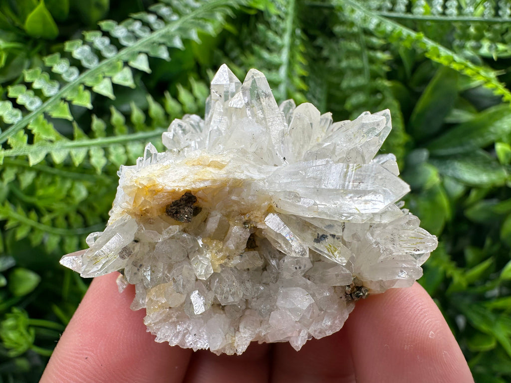 Quartz with Pyrite, Djurcovo Mine Bulgaria, Mineral Souvenir