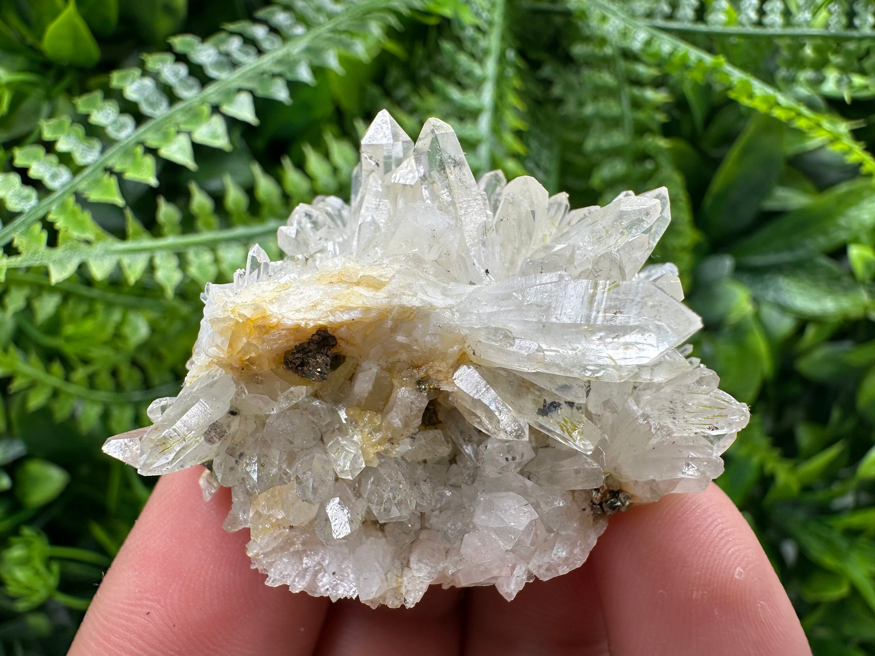 Quartz with Pyrite, Djurcovo Mine Bulgaria, Mineral Souvenir