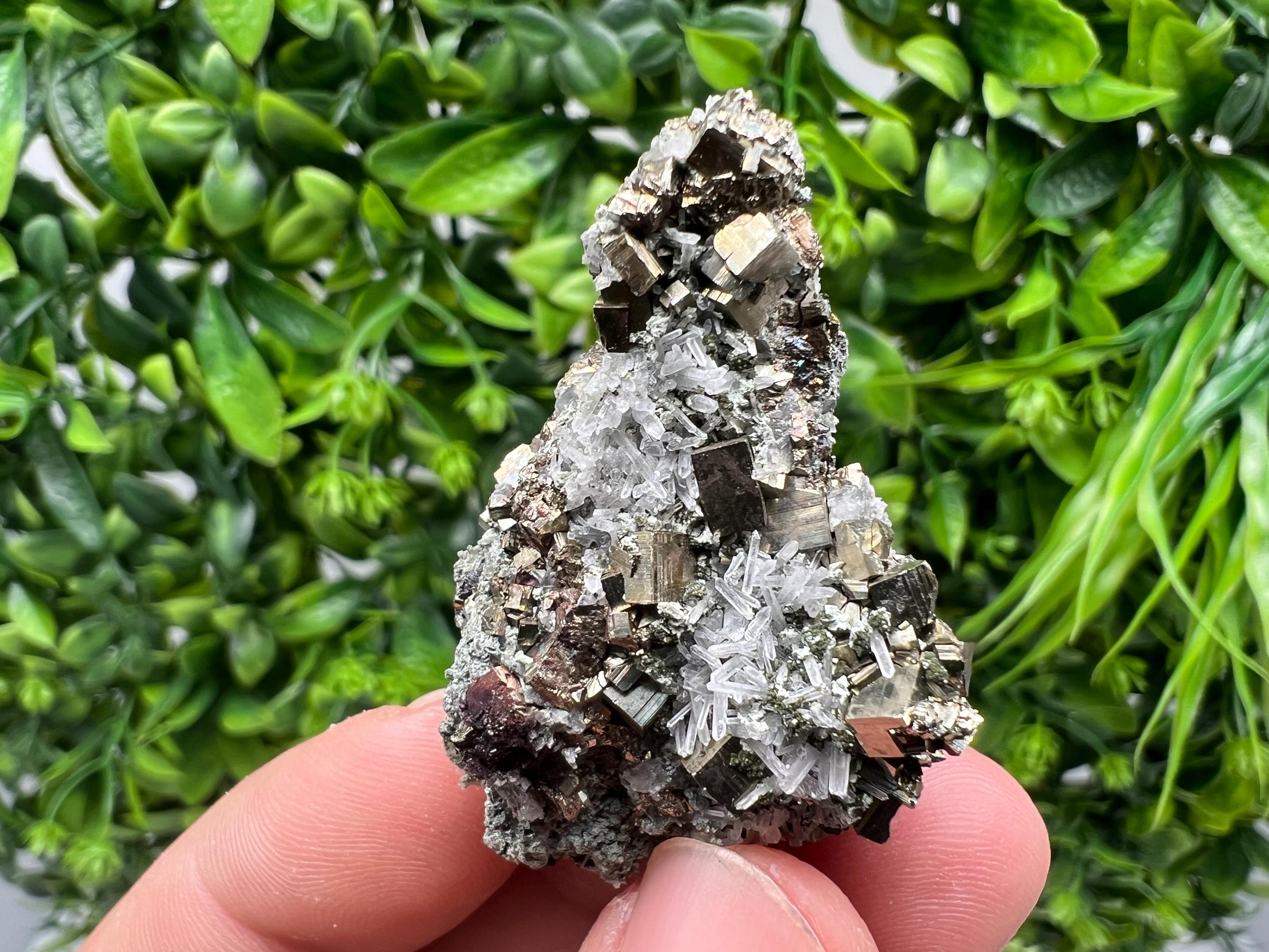 Pyrite on Green Quartz Mineral Specimen, Borieva Mine Bulgaria