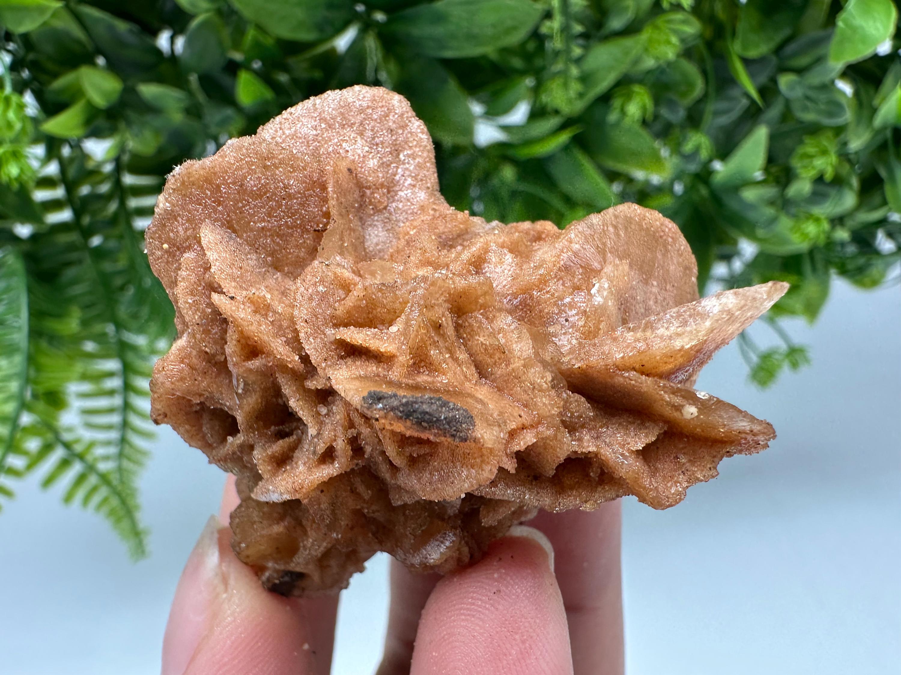 Desert Rose Crystal: Root Chakra Healing Selenite Stone