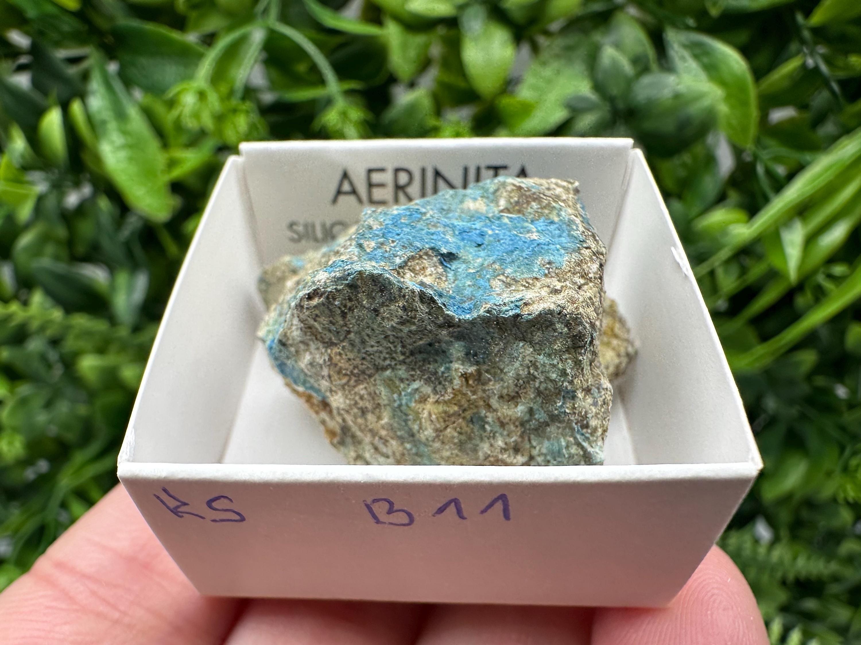 Rare Raw Aerinite Mineral Specimen: Lleida, Spain Crystal