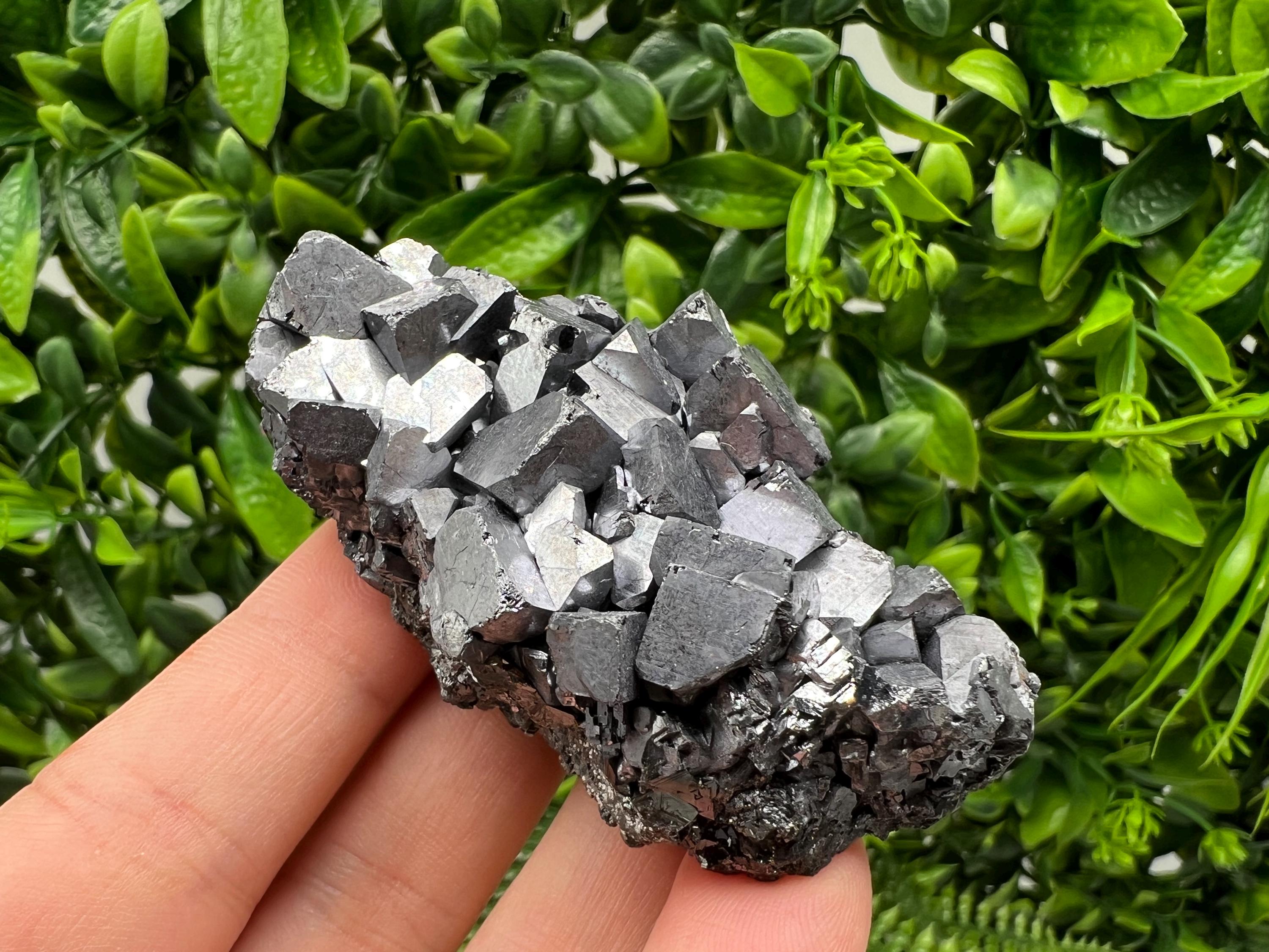Galena with Sphalerite Mineral Specimen, Borieva Mine, Bulgaria