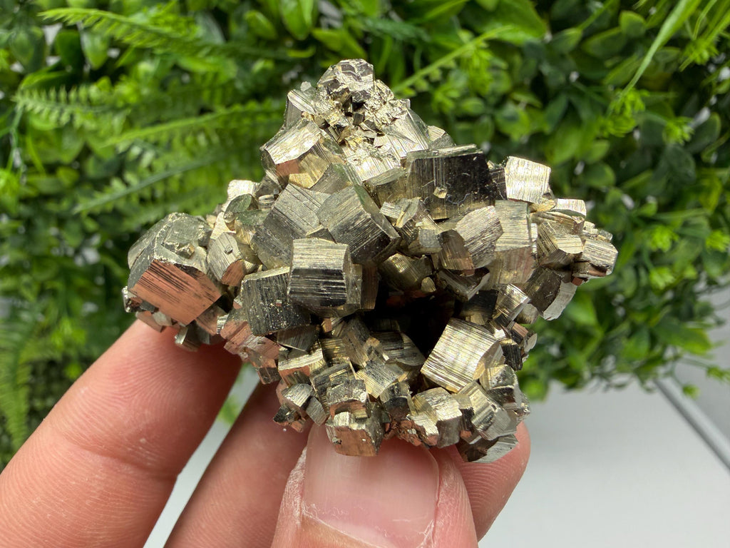 Rare Mini Pyrite Cluster: Golden Rainbow Crystallization from Borieva Mine