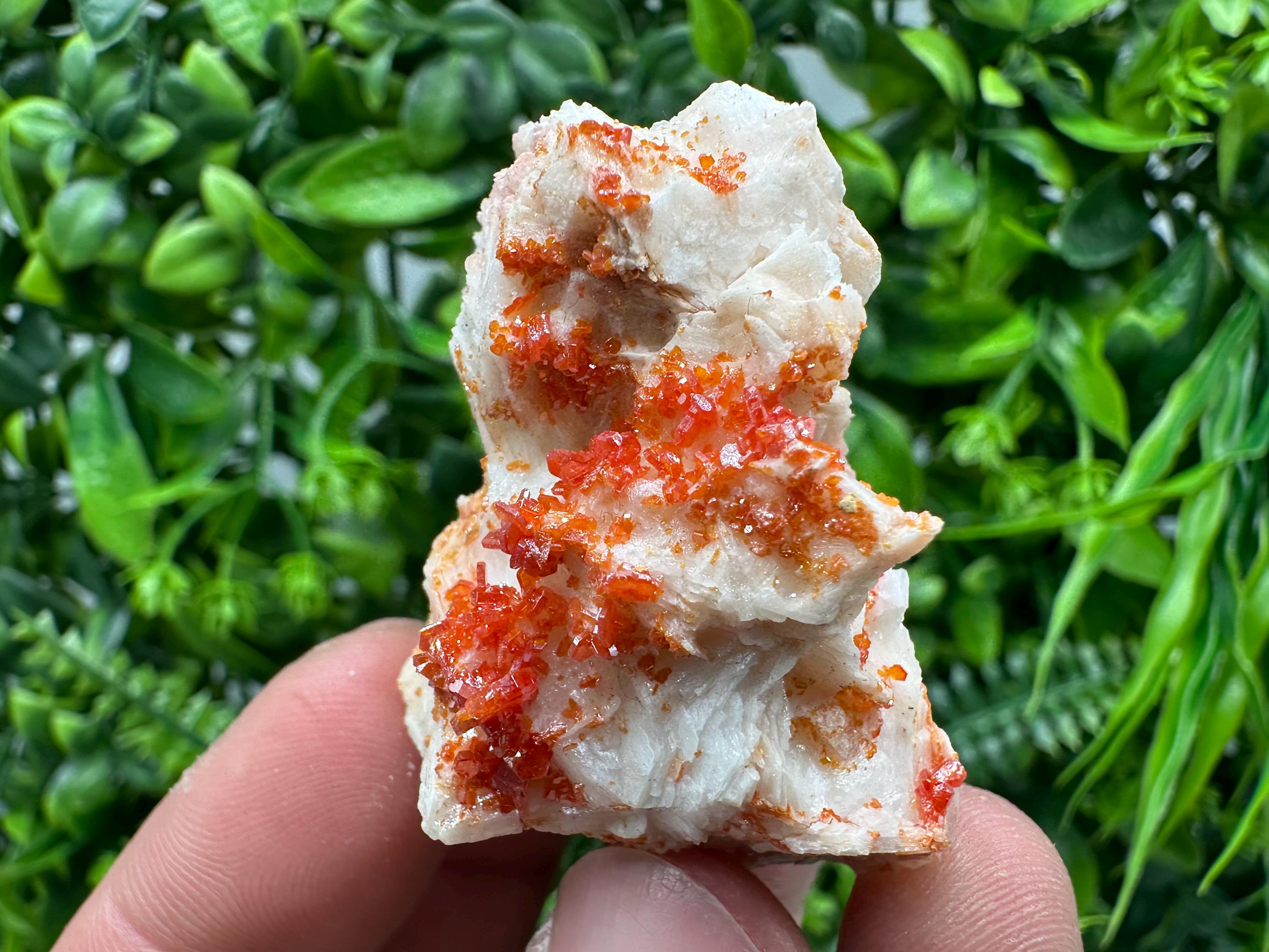 Red Vanadinite Crystal on Barite, Morocco Mineral Specimen