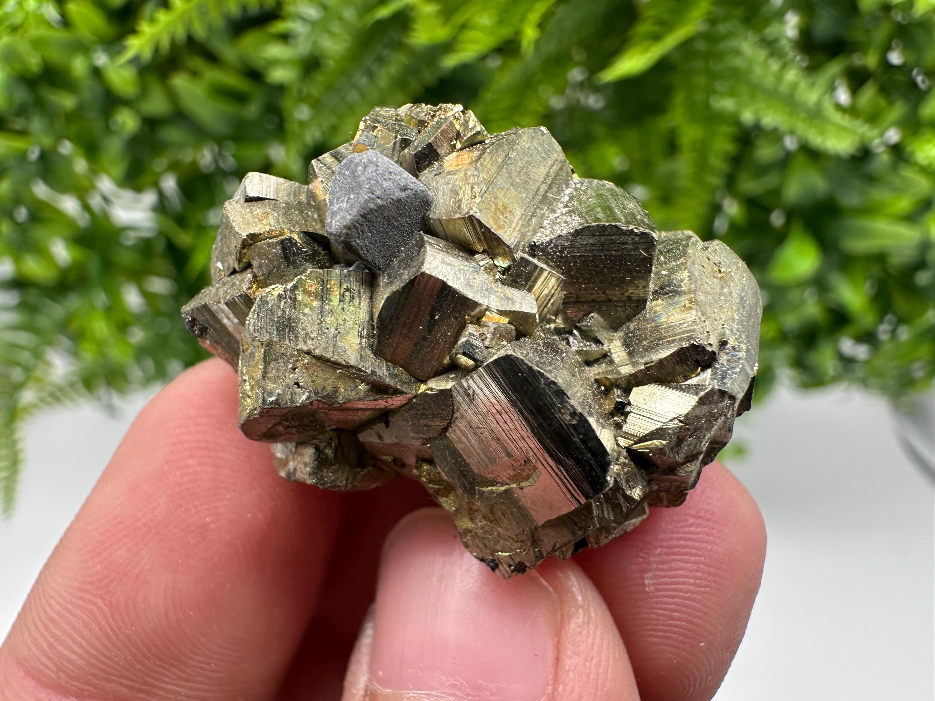 Rare crystallisation Pyrite,Borieva mine,Bulgaria,floating Pyrite,golden Pyrite,Pyrite cluster,mini Collection specimen,Rainbow Pyrite