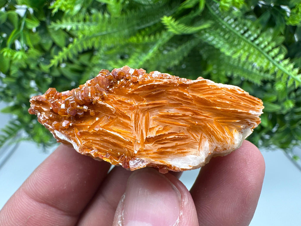Red Vanadinite on Barite, Morocco Crystal Cluster
