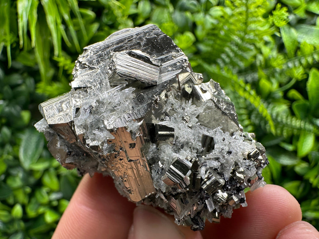 Pyrite on Needle Quartz: Chlorite Inclusions, Borieva Mine, Bulgaria