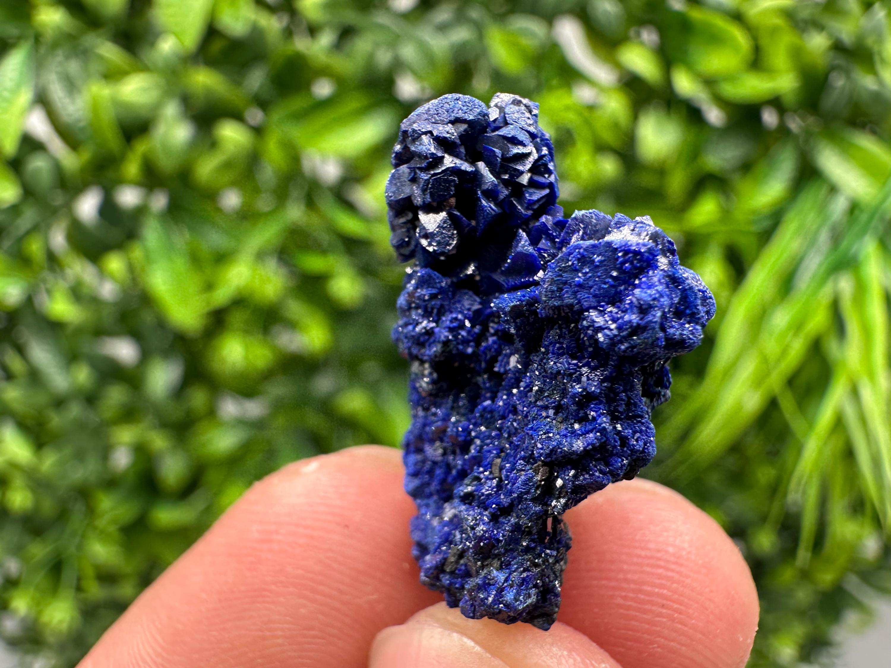 Crystallized Azurite-Kerrouchen,Morocco-Blue Azurite Specimen-High Quality Blue Azurite-Azurite Mineral Specimen, gemmy,lustrous of Azurite