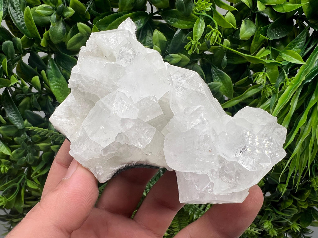 Apophyllite on Chalcedony Specimen: Transparent Crystal, India Minerals