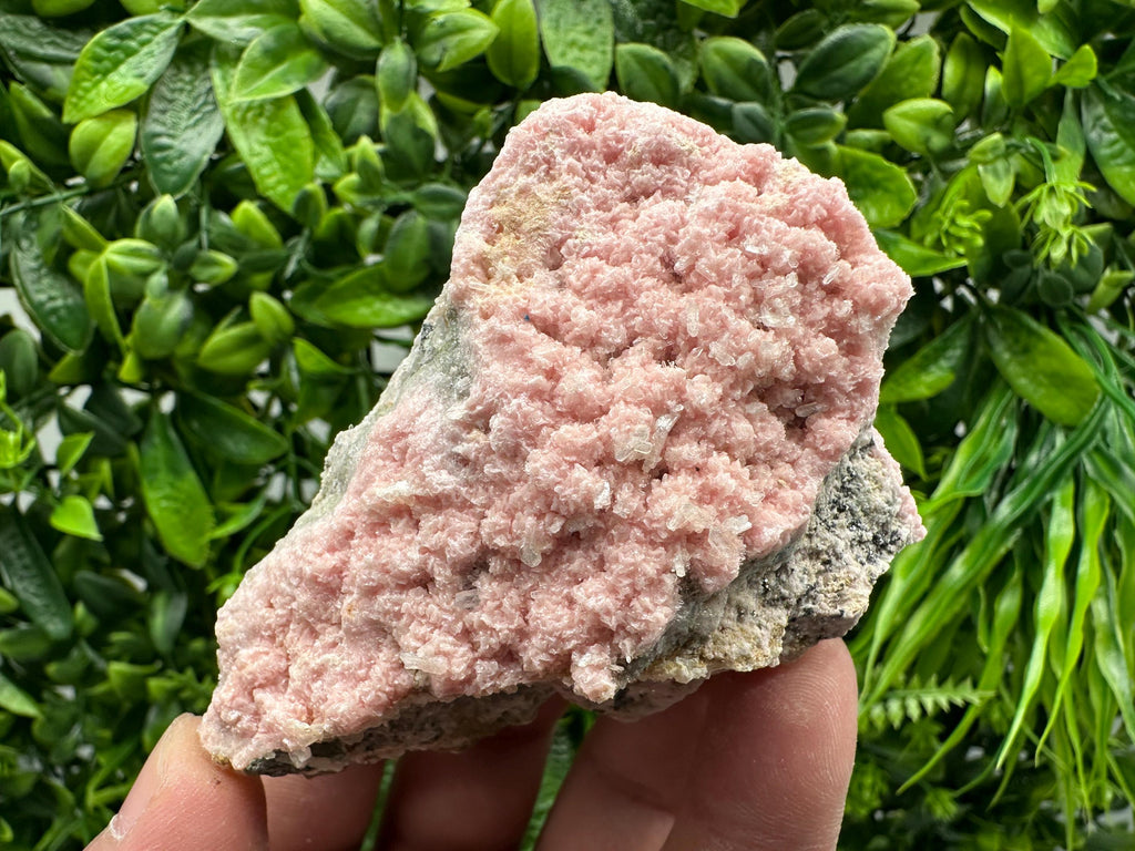 Rhodochrosite on Quartz, Starnica Mine, Bulgaria