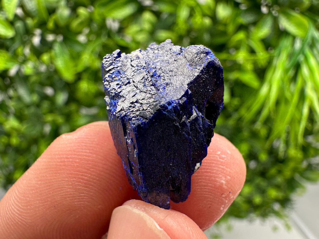 Crystallized Azurite-Kerrouchen,Morocco-Blue Azurite Specimen-High Quality Blue Azurite-Azurite Mineral Specimen, gemmy,lustrous of Azurite
