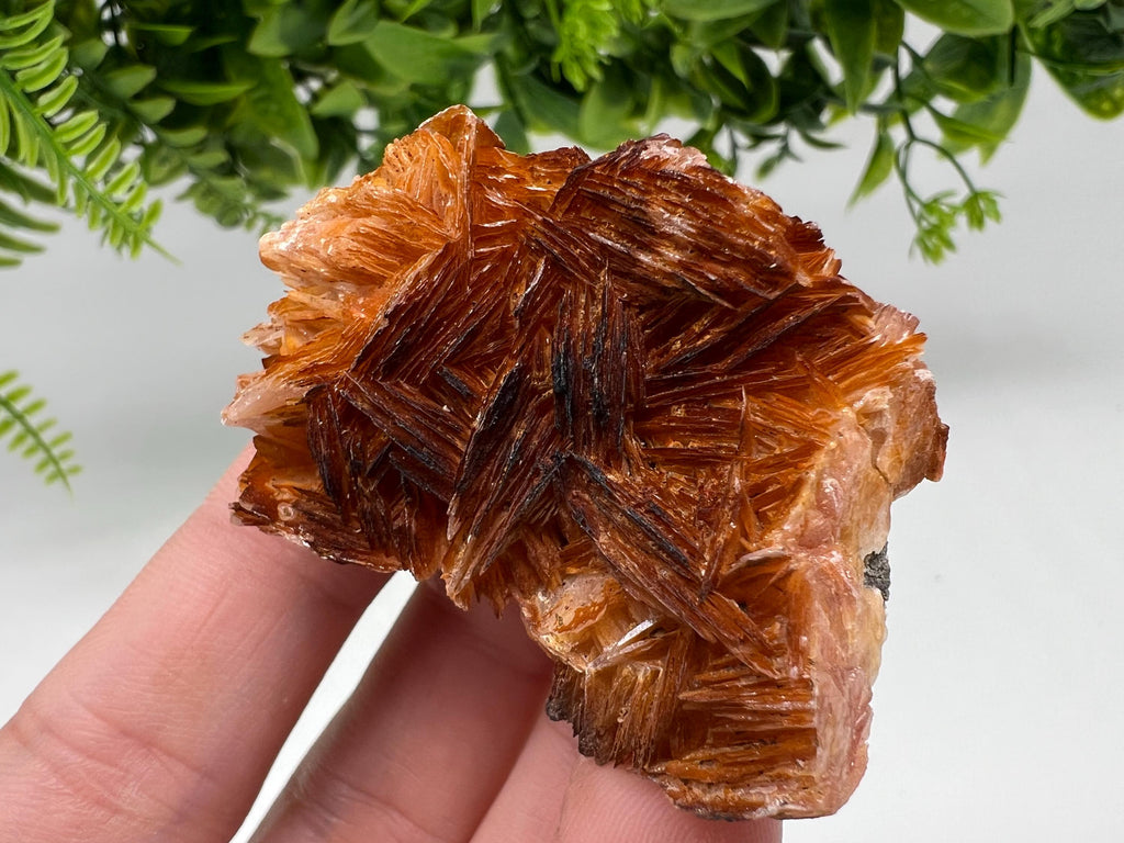 Wonderful Baryte with Cerussite on Galena from Morocco,Crystal, Mineral,Specimen,Cluster,Crystals,Barite Crystal,Cerussite Crystal,Specimen