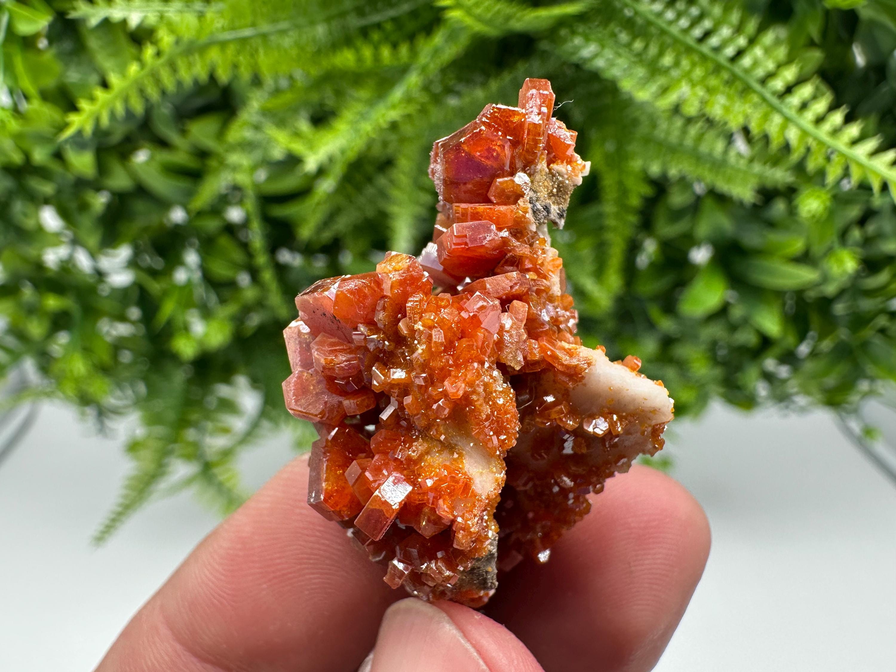 Red Vanadinite on Barite from Marocco,crystal minerals Speciment cluster Vanadinite crystal Vanadinite Geology Vanadinite cluster minerals