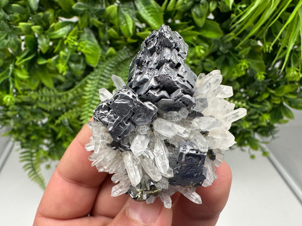 Aesthetic Natural shiny Galena whit Siderite and Quartz from 9 th September mine,Bulgaria,collection specimen,rare galena,Galena cluster