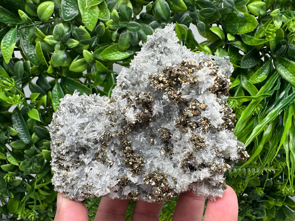 Pyrite on Needle Quartz, Borieva Mine, Bulgaria, Mineral Specimen