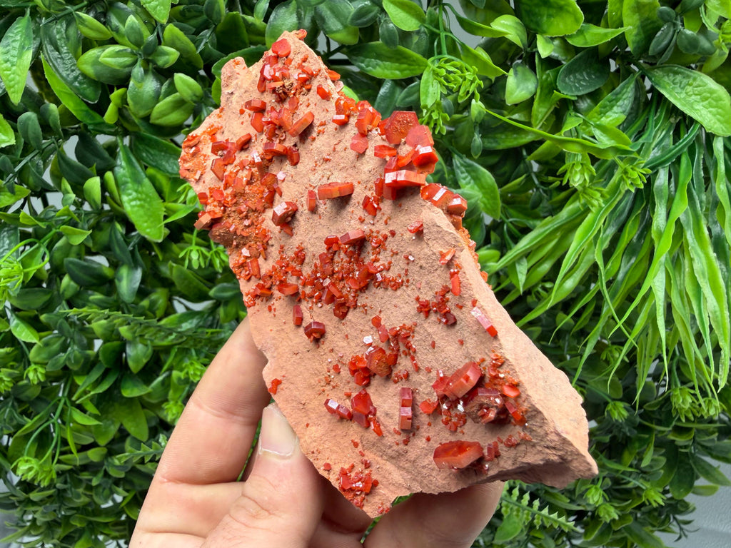 Red Vanadinite on Matrix from Marocco,crystal minerals Speciment cluster Vanadinite crystal Vanadinite Geology Vanadinite cluster minerals