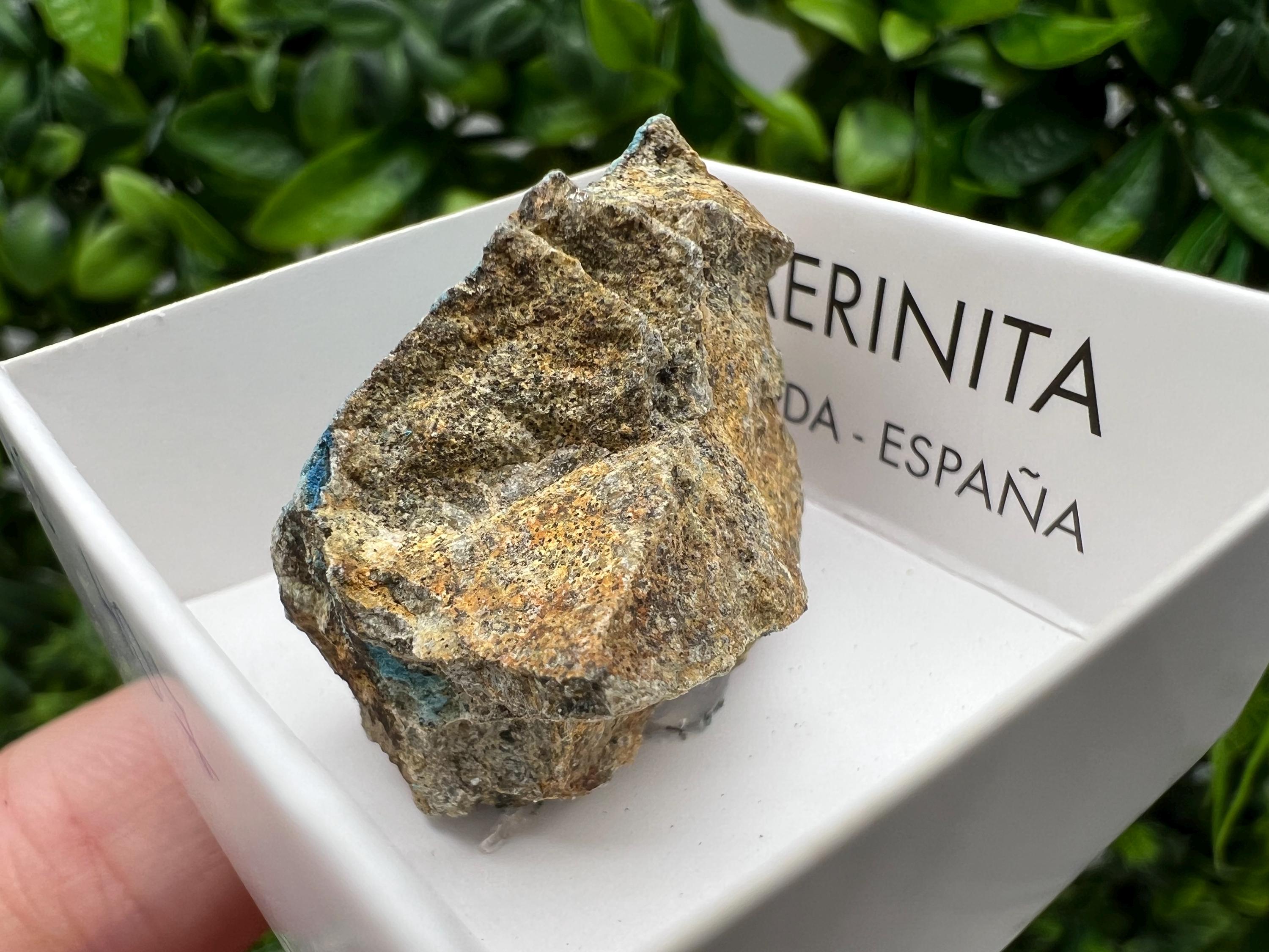 Rare Raw Aerinite Mineral Specimen: Lleida, Spain