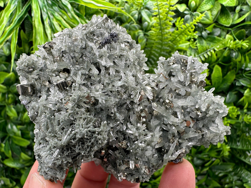 Pyrite Galena on Green Quartz with Chlorite: Borieva Bulgaria Crystal
