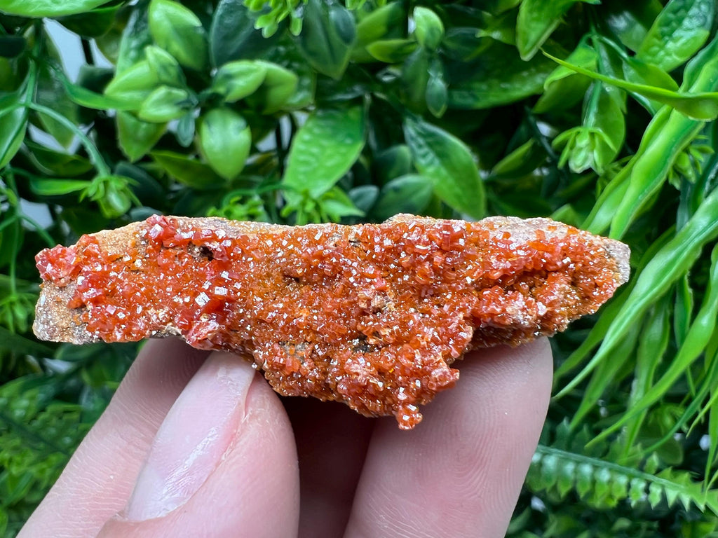 Red Vanadinite on Barite from Marocco,crystal minerals Speciment cluster Vanadinite crystal Vanadinite Geology Vanadinite cluster minerals
