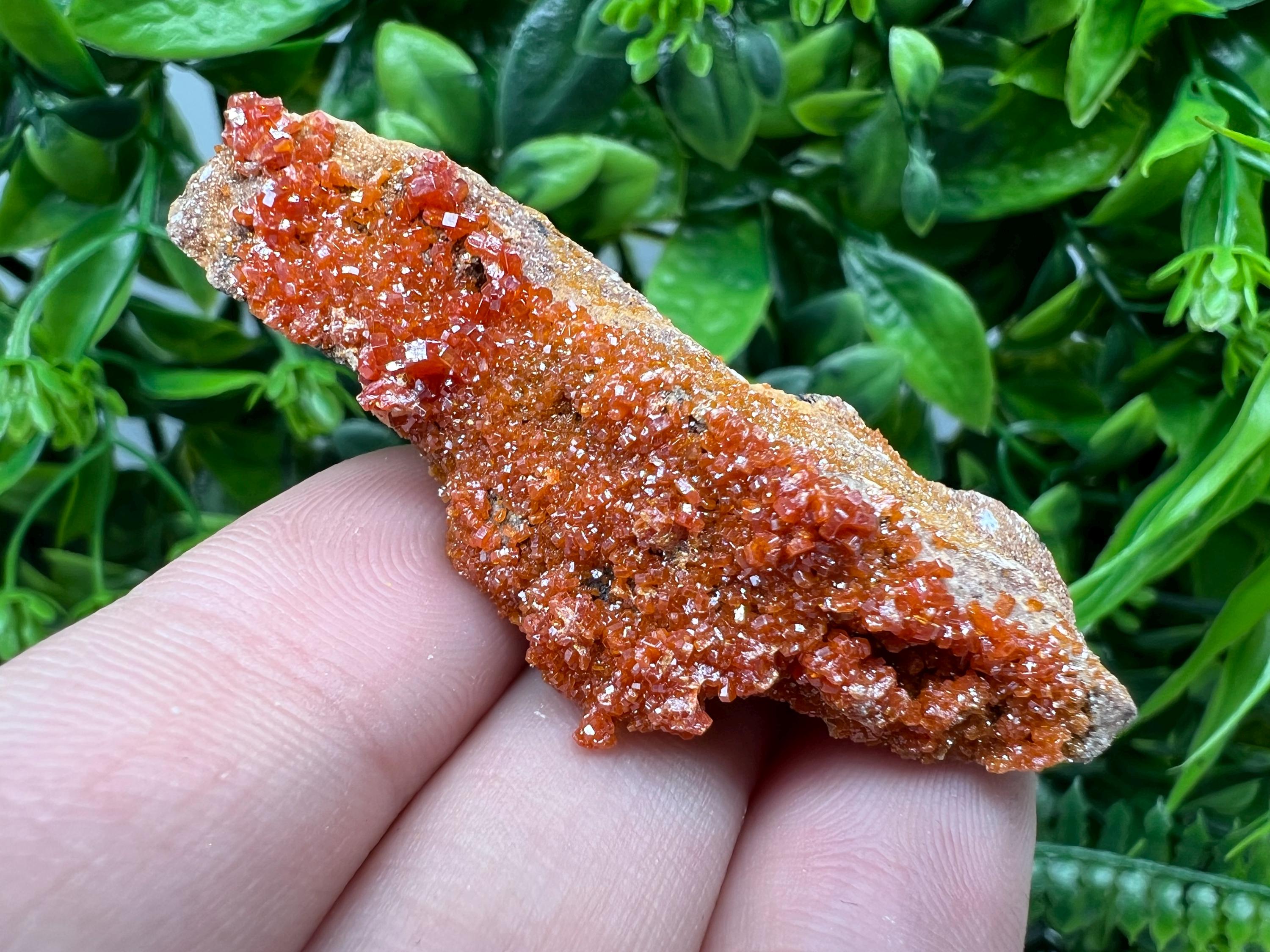 Red Vanadinite on Barite from Marocco,crystal minerals Speciment cluster Vanadinite crystal Vanadinite Geology Vanadinite cluster minerals