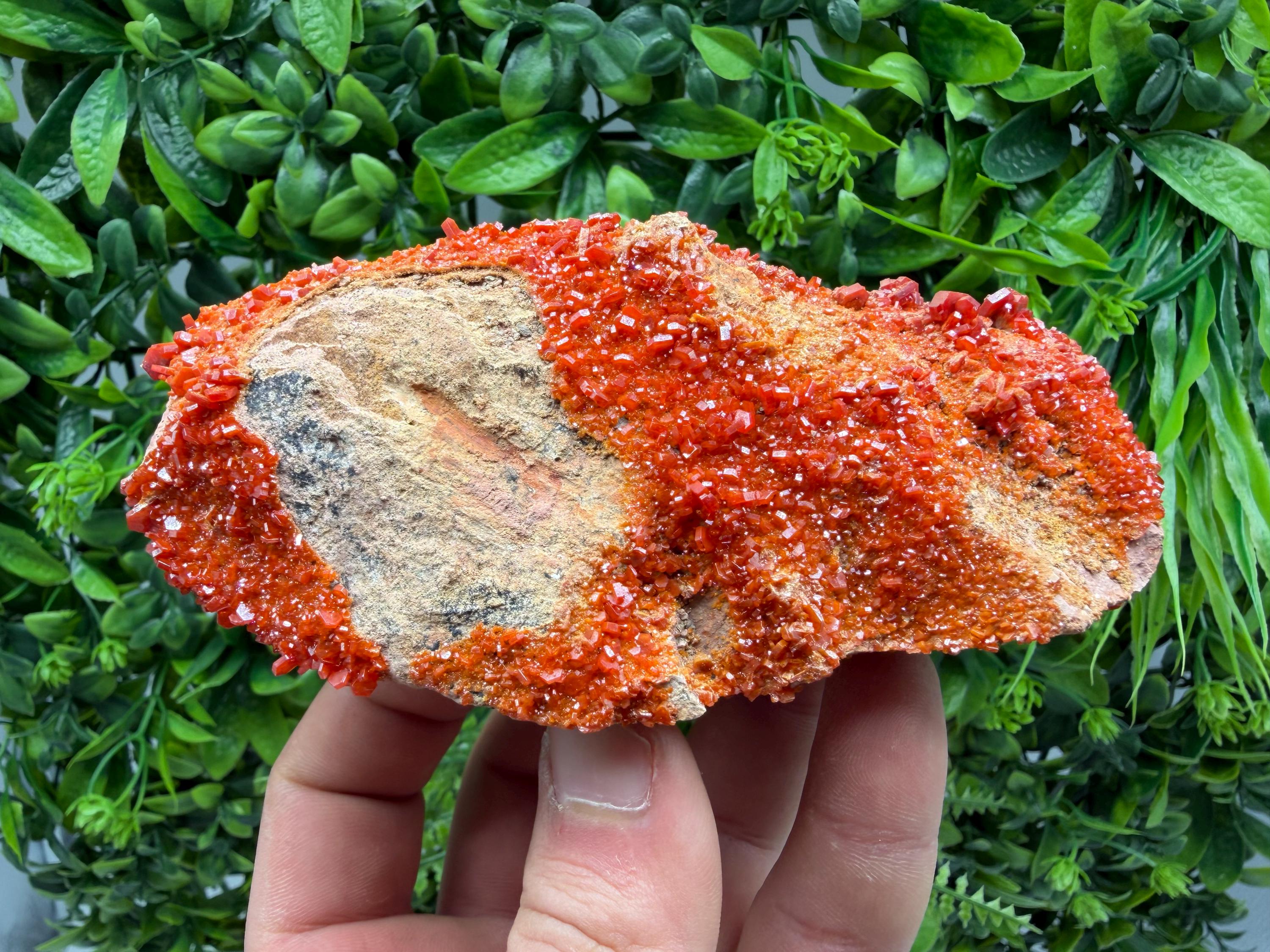 Red Vanadinite on Matrix from Marocco,crystal minerals Speciment cluster Vanadinite crystal Vanadinite Geology Vanadinite cluster minerals