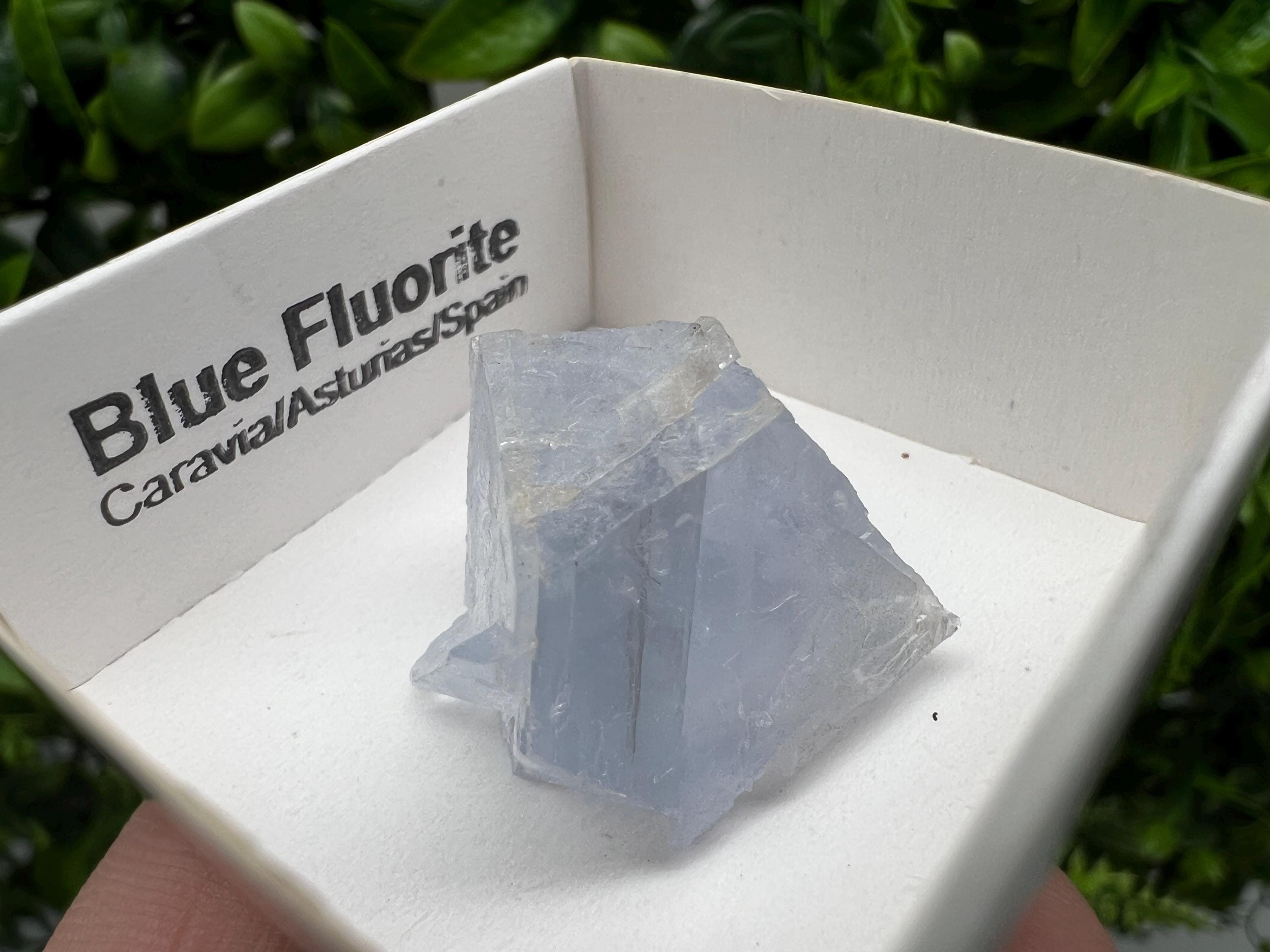 Blue Fluorite Mineral Specimen: Spain Collection (2.5/2.5 cm)