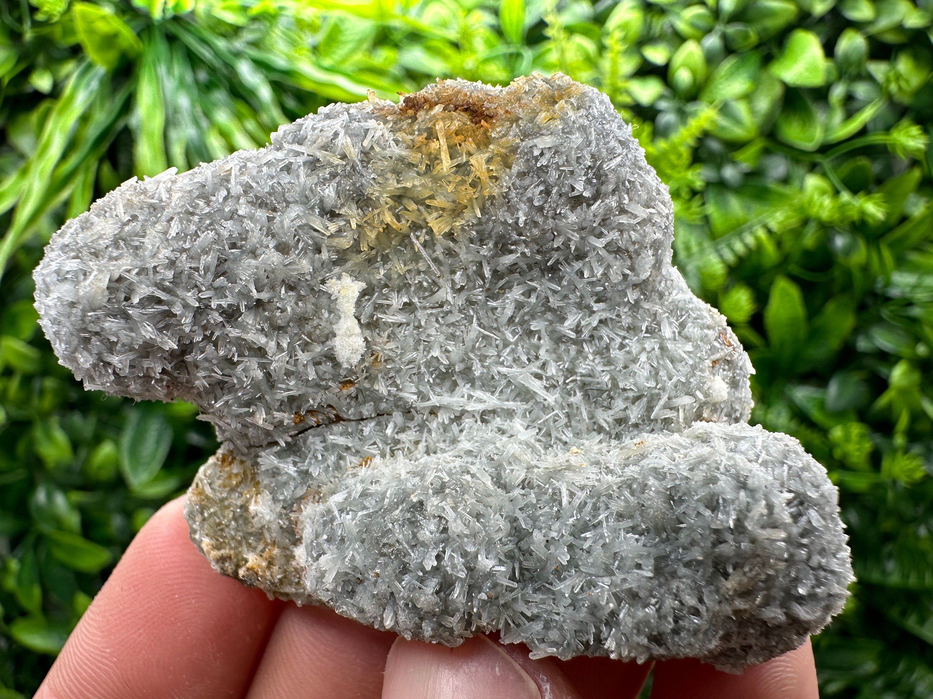 Chlorite Quartz Crystal with Iron Oxide Inclusion