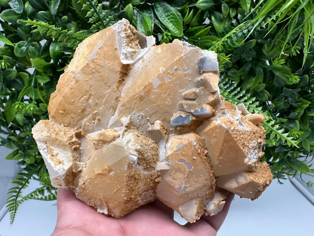 Limonite Coated Quartz Crystal, Djurcovo Mine, Bulgaria