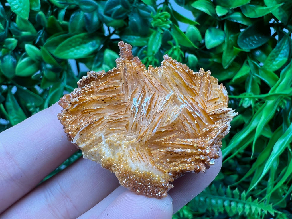 Red Vanadinite on Barite from Marocco,crystal minerals Speciment cluster Vanadinite crystal Vanadinite Geology Vanadinite cluster minerals