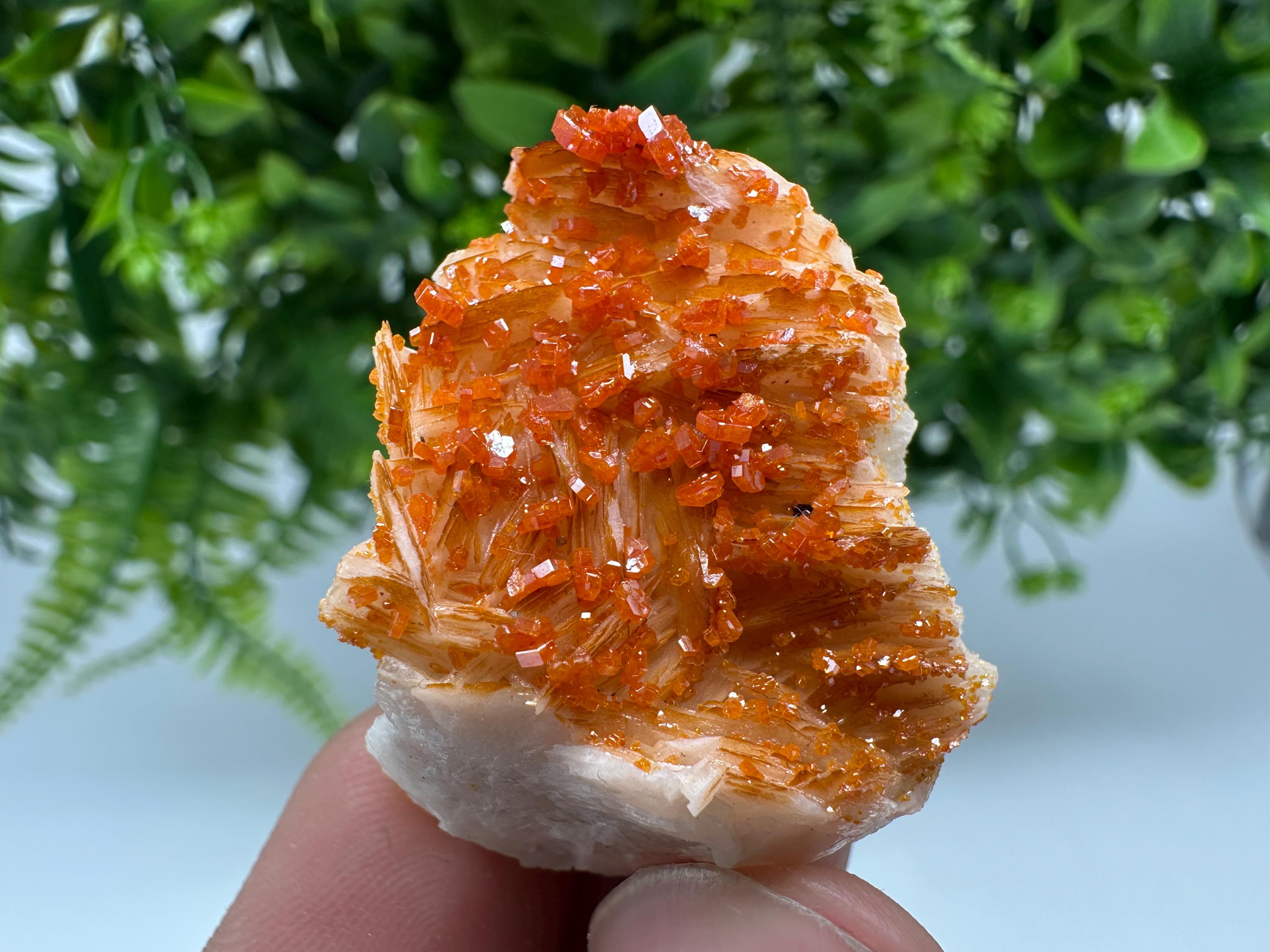 Red Vanadinite on Barite from Marocco,crystal minerals Speciment cluster Vanadinite crystal Vanadinite Geology Vanadinite cluster minerals