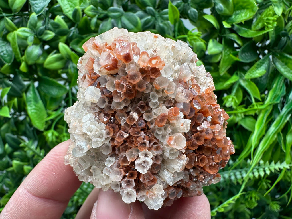 Moroccan Aragonite Sputnik Cluster: Raw Crystal Stone Decor
