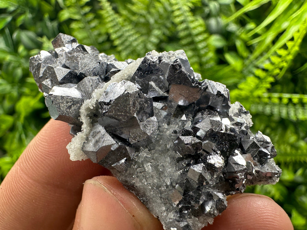 Shiny Galena on Quartz: Natural Mineral Souvenir from Bulgaria