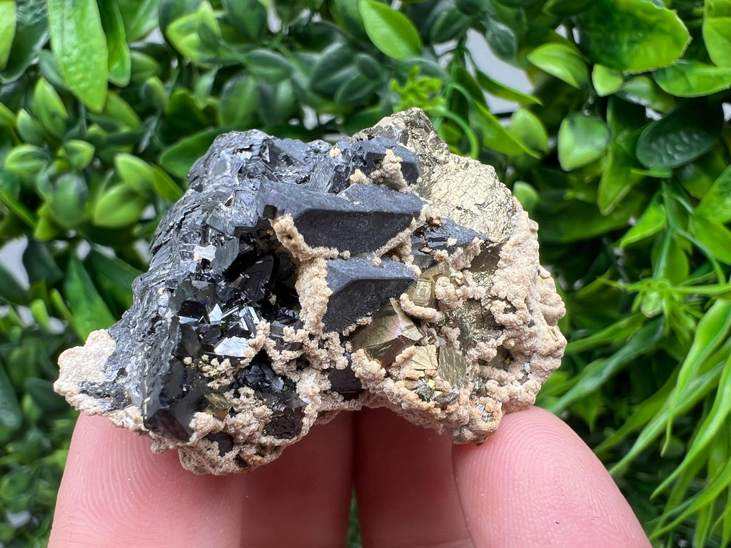 Galena Chalcopyrite Siderite Mineral Specimen: Madan Bulgaria Crystal