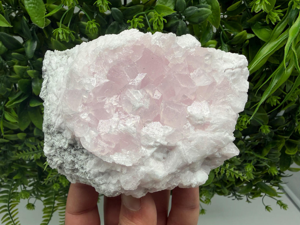 Mangano Calcite with Galena, Borieva Mine, Bulgaria