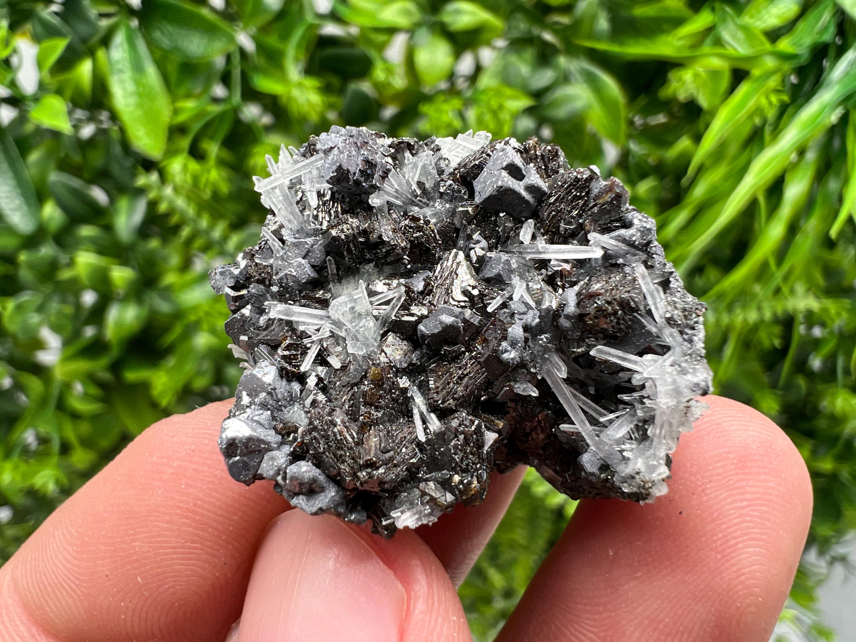 Calcite Sphalerite Galena on Quartz, Borieva Mine Mineral Specimen
